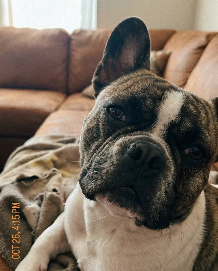 Cooper