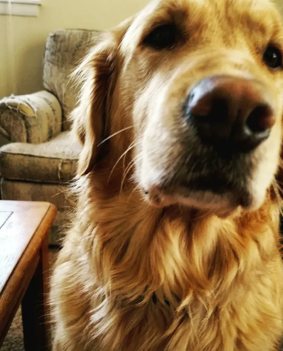 Max