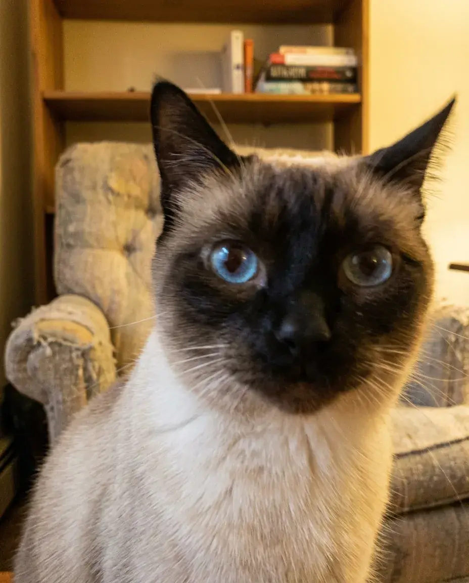 Luna