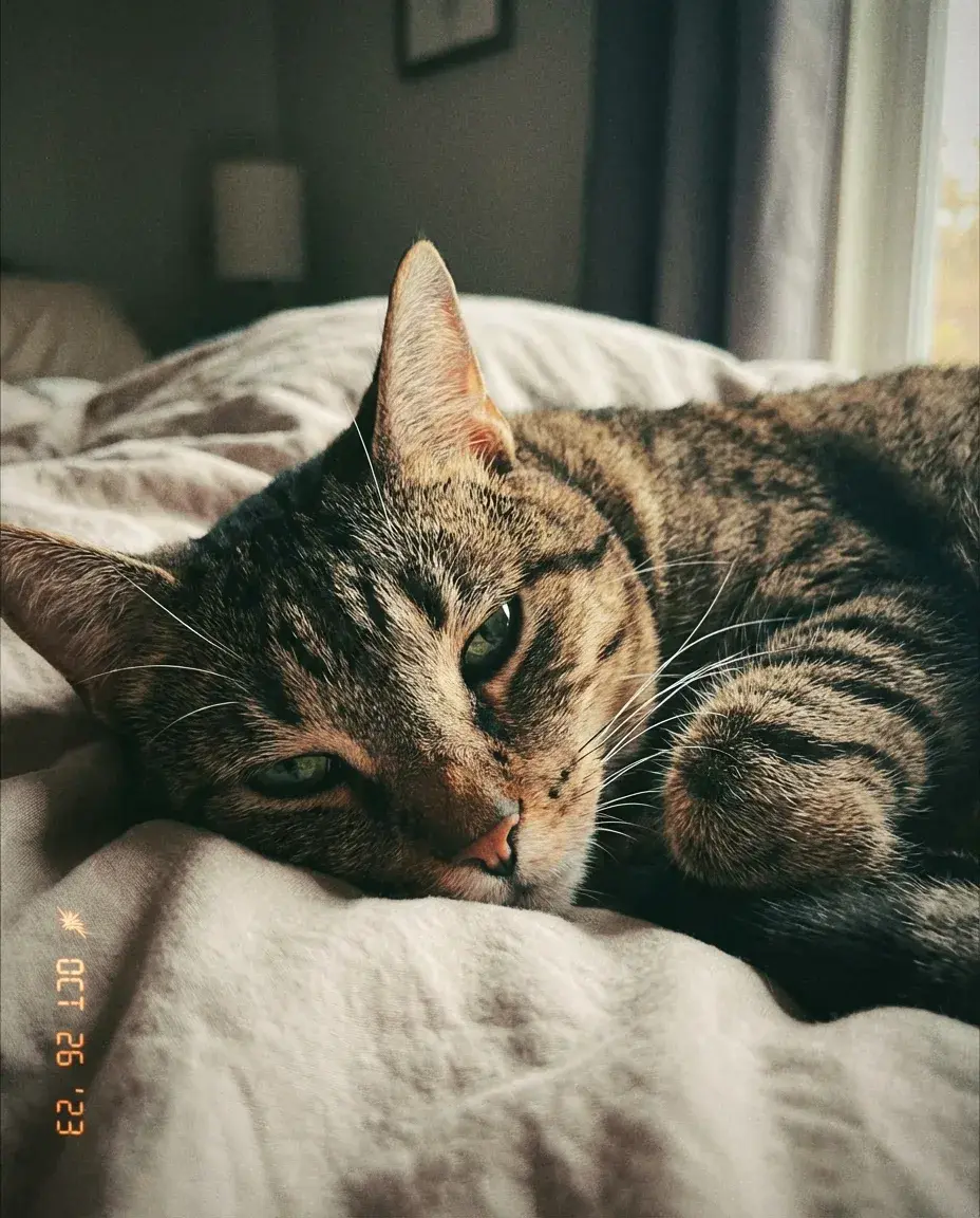 Milo